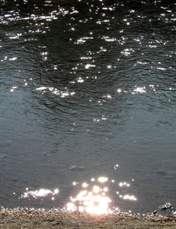 sunlight dancing on the river.jpg